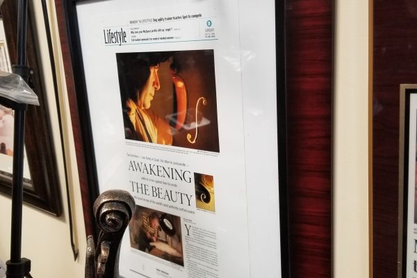 lifecycle_magazine_mentioned_us_jacksonville_violins